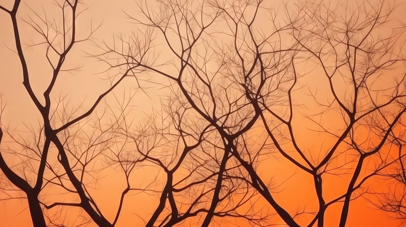 AdobeStock_620681278