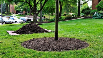 How TO mulch a tree in Michigan