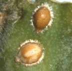 Screenshot 2024-06-26 151500