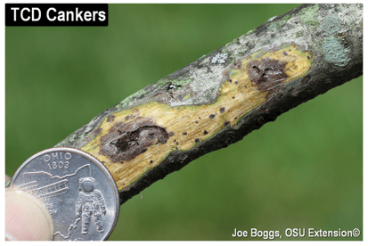 Screenshot 2024-07-03 160137