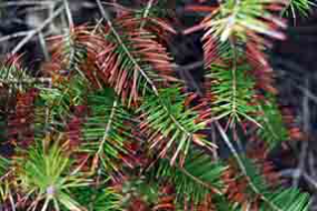 Screenshot 2024-07-03 173940